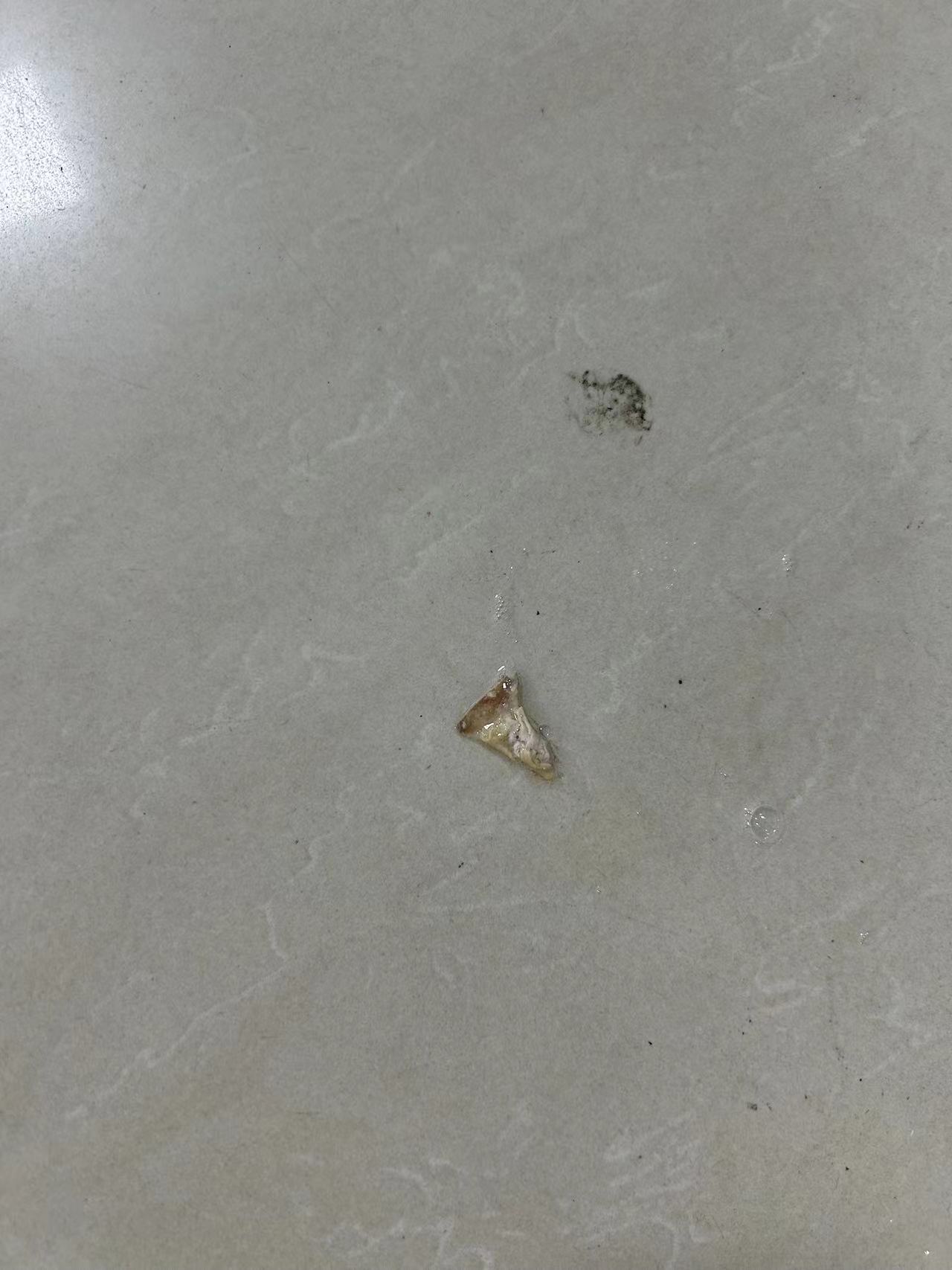 微信图片_20250508100657.jpg
